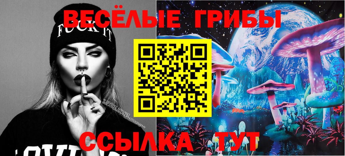 Владимир  Псилоцибиновые грибы мухоморы  Вход с VPN 