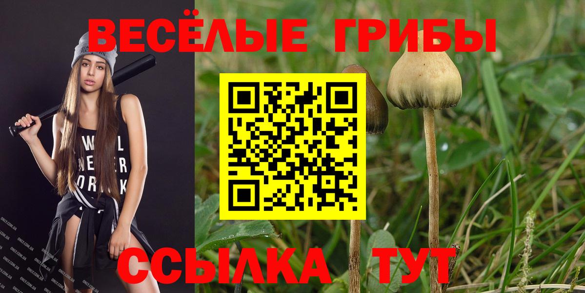 Галлюциногенные грибы Cubensis Владимир