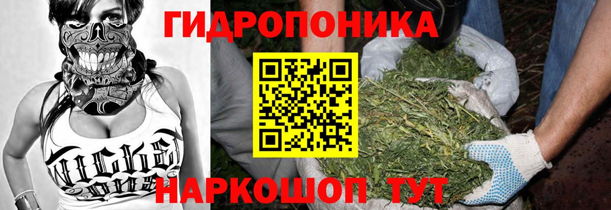 Конопля LSD WEED Владимир